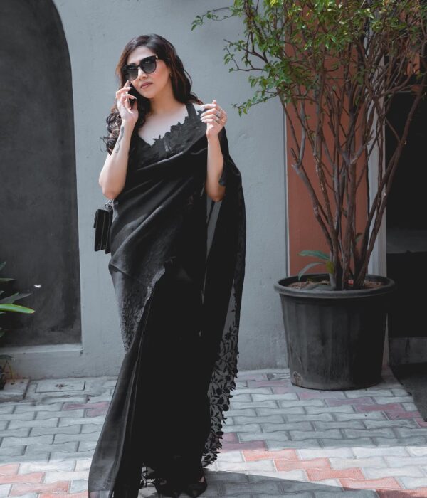 Organza Saree - Image 3