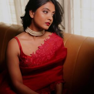 Organza Saree
