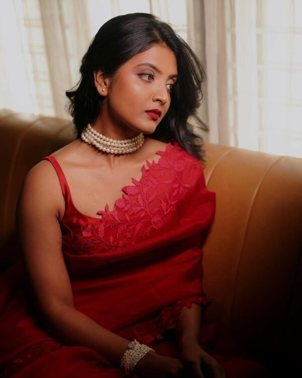 Organza Saree