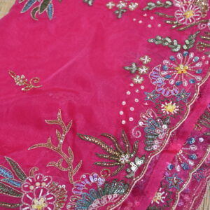 Organza Saree